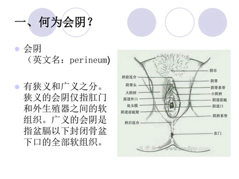 陰女 意思|阴女是什么命 阴女是好命还是坏命